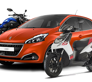 Motori